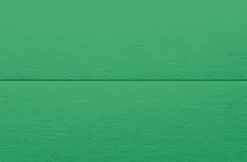 Placeringskort dubbla 10-pack gräsgrön