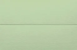 Placeringskort dubbla 10-pack ljusgrön