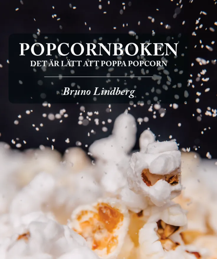 Popcornboken : det är lätt att poppa popcorn