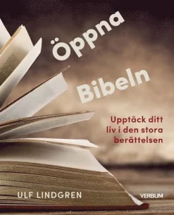 Öppna Bibeln : upptäck ditt liv i den stora berättelsen