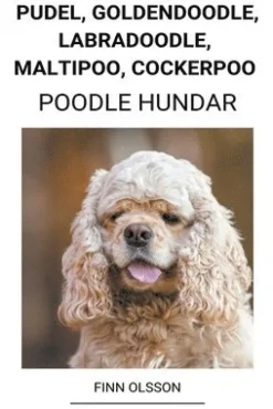 Pudel, Goldendoodle, Labradoodle, Maltipoo, Cockerpoo (Poodle Hundar)