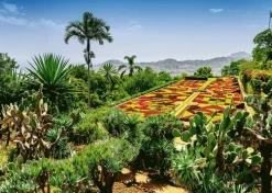 Pussel 1000 bitar - Botanical Garden Madeira