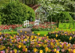 Pussel 1000 bitar - Keukenhof Gardens