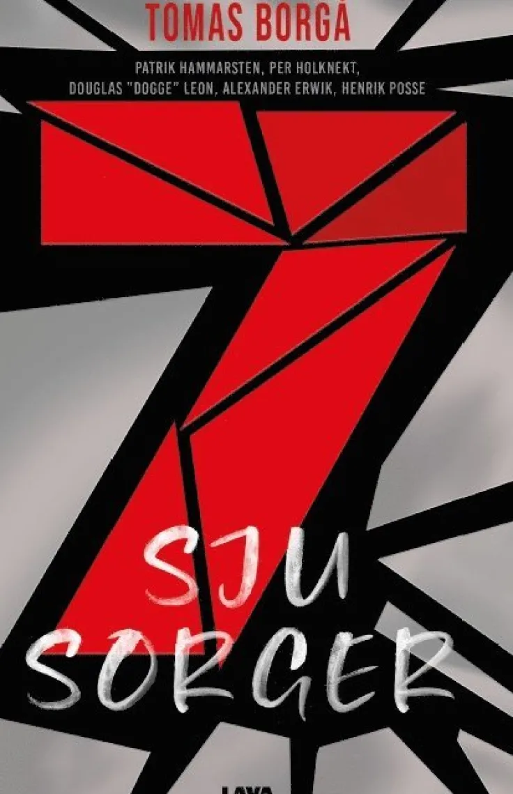 Sju sorger