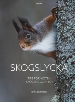 Skogslycka : tips för möten i skogens gläntor