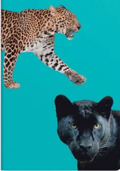 Skrivhäfte A5 linjerad Leoparder