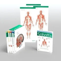 Sobotta Atlas of Anatomy, Package, 17th ed., English/Latin