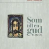 Som till en gud : om Jesu gåta