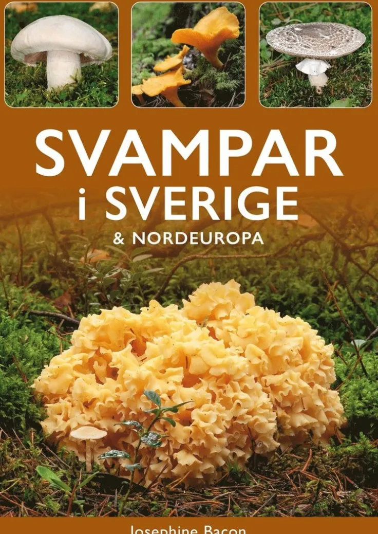 Svampar i Sverige och Nordeuropa