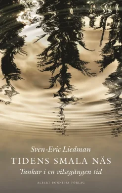 Tidens smala näs : Tankar i en vilsegången tid