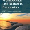 Treatment of Psychosocial Risk Factors in Depression