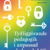 Tydliggörande pedagogik i anpassad skola och LSS : för unga med intellektuell funktionsnedsättning