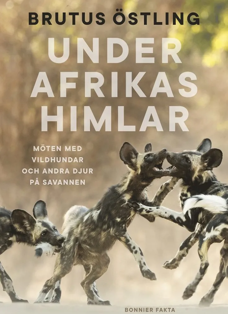 Under Afrikas himlar : Möten med vildhundar och andra djur på savanner