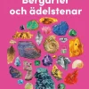 Upptäck bergarter och ädelstenar : utforska naturens skatter