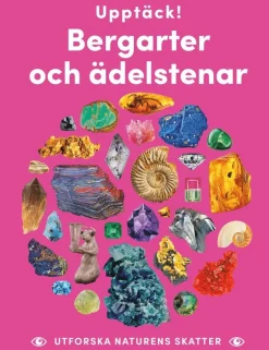 Upptäck bergarter och ädelstenar : utforska naturens skatter