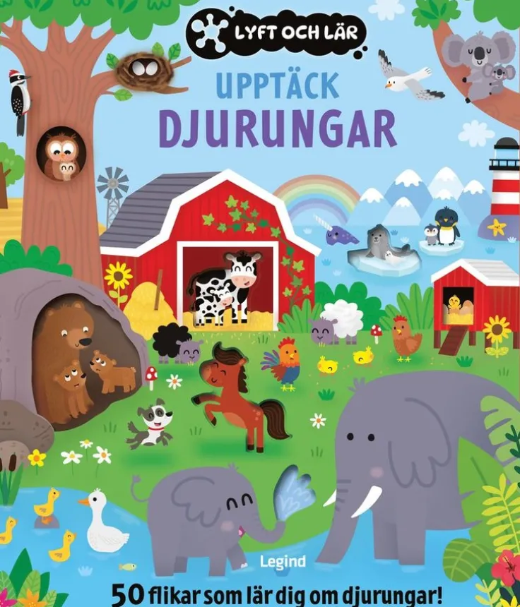 Upptäck djurungarna : 50 flikar som lär dig om djurungar