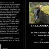 Vallonskolan : en annan plats på jorden