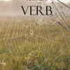 Veckans verb : din guide till ett rikare språk