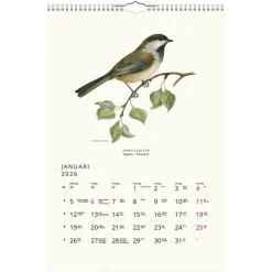Väggkalender 2026 Fåglar