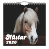 Väggkalender 2026 Hästar Mini