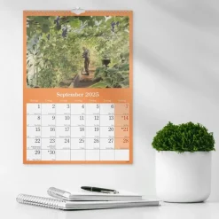 Väggkalender 2025 Klassiska Sverige