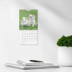 Väggkalender 2026 Liten Kattkalender