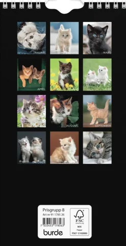 Väggkalender 2026 Liten Kattkalender