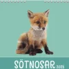 Väggkalender 2025 Sötnosar