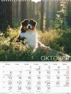 Väggkalender 2025 Stora Hundkalendern